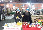 Foto Envy-Yello Superfrutta Pagani 14 febbraio 1